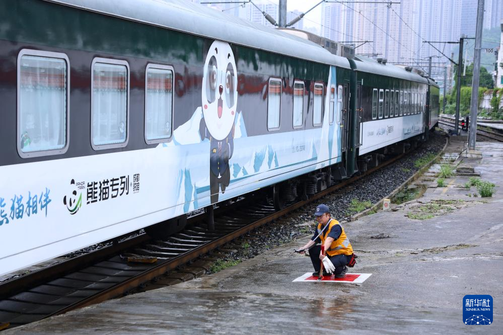 熊猫专列·成都号旅游列车，探寻自然与文化融合之旅（图文展示）