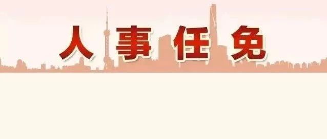 吴伟新任上海市委常委，助力城市繁荣与发展新篇章开启