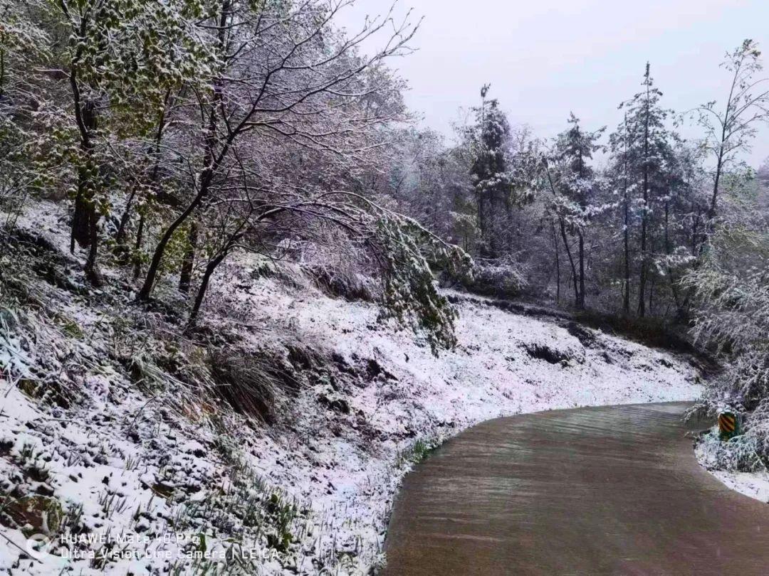 湖北迎来冬季雪季，气温骤降至5℃！