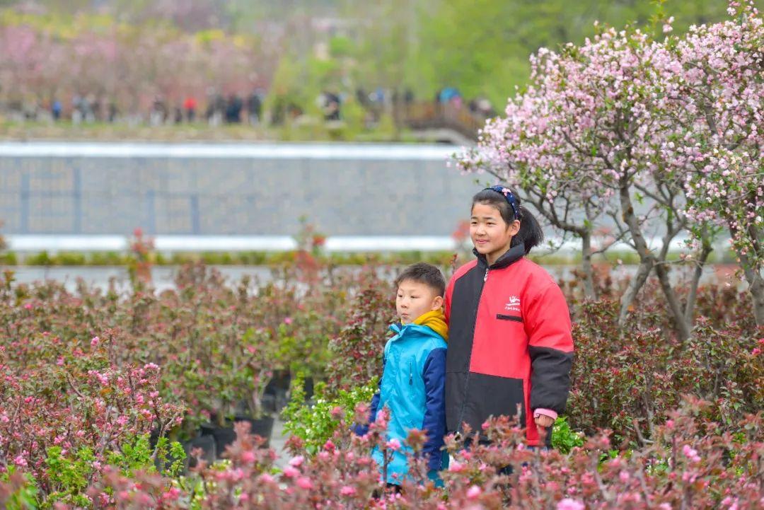 蒙山斑斓色彩绘，沂蒙四季摄影大赛启幕的绚烂篇章