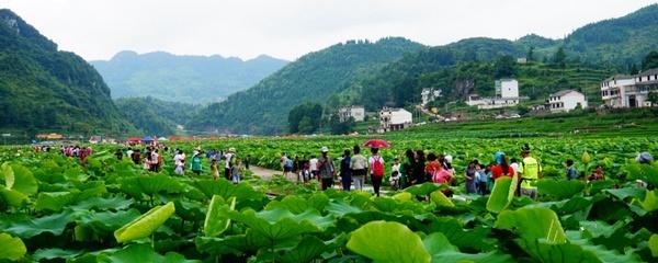 避暑胜地安顺获赞，夏日尽享清凉美好时光