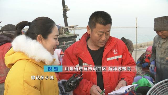 河海之旅，遇见壮美与未来展望，黄河与海洋的共享之旅