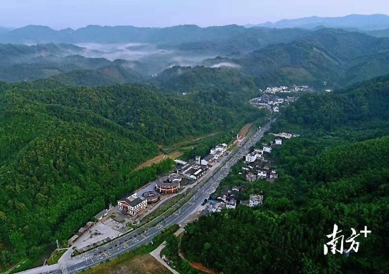 河源市两大林场荣获广东省十大样板镇村林场称号，生态经济双赢典范树立当地标杆