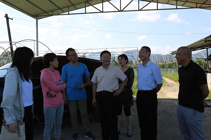 广西融安第二届金桔直播营销职业宣讲会，探寻数字化新动力下的金桔产业未来之路