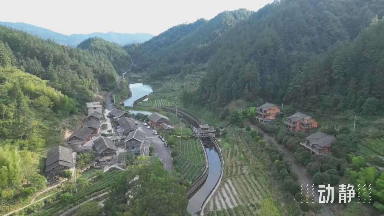 施秉避暑游，夏日经济新引擎