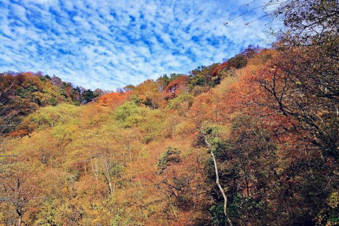 北京小众游玩地秋景依旧迷人，轻松赏美景好去处