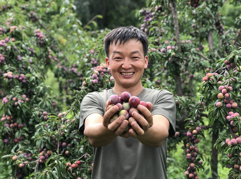 村委会征婚广告亮相市中心，乡村与城市的创新连结策略