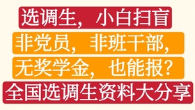 小白公务员备考指南，有效策略与技巧全解析