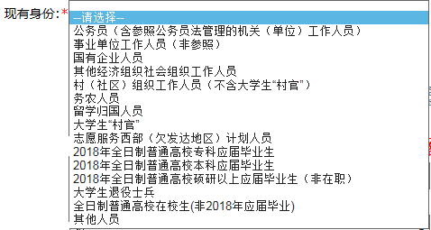 公务员报名指南，注意事项与流程详解