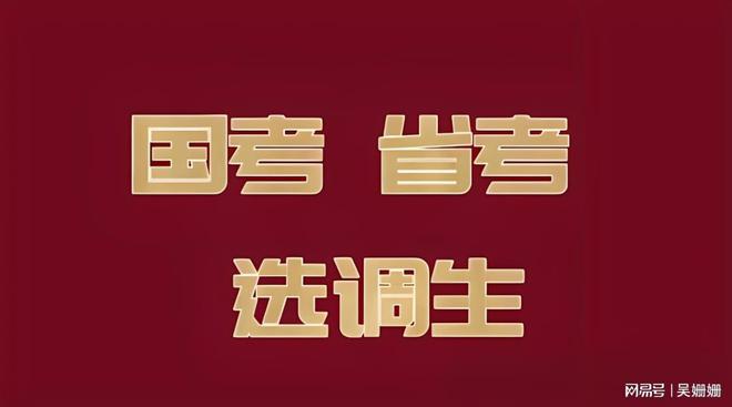 未来教育探索之路，粉笔980系统班网盘2025展望